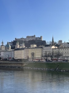 Image (4)